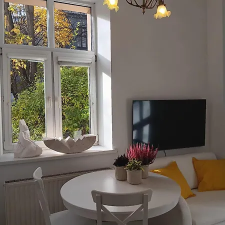 Maki Art Kazimierz *