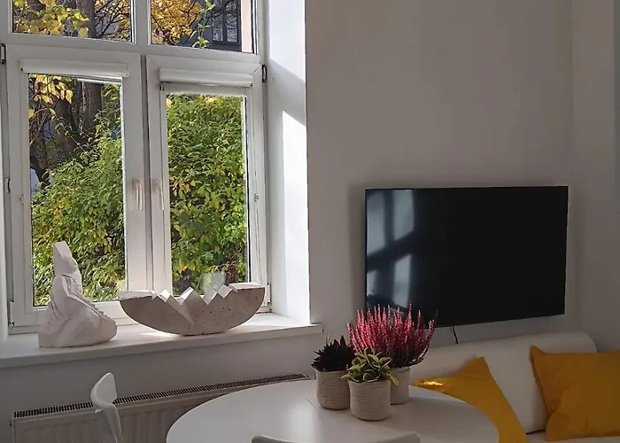 Maki Art Kazimierz *